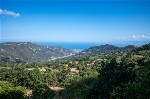 3 - Belvedere montagna