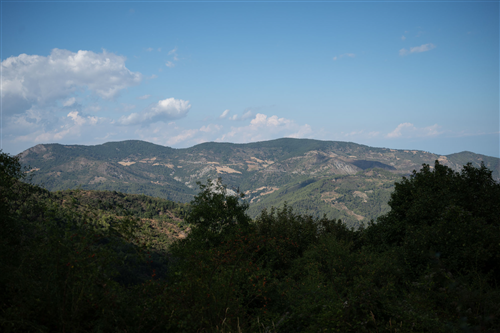2 - Viale Sparviero Incroci...