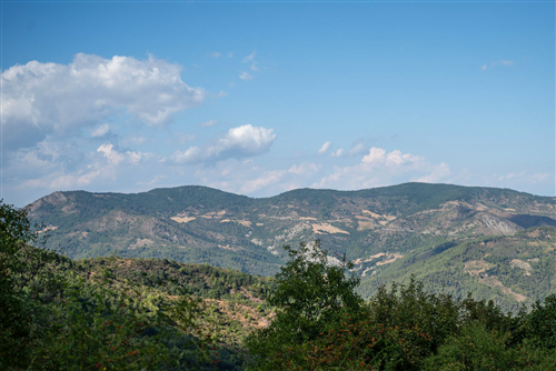4 - Lungo strada Zagaria