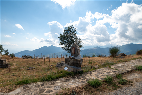 7 - Madonna delle armi Voti...